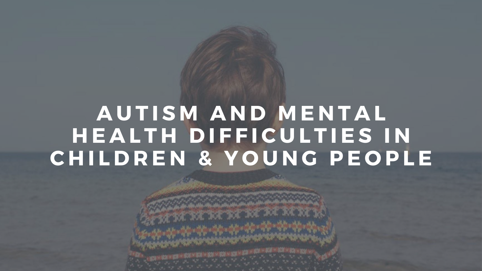 Autism and Mental Health Difficulties Webinar